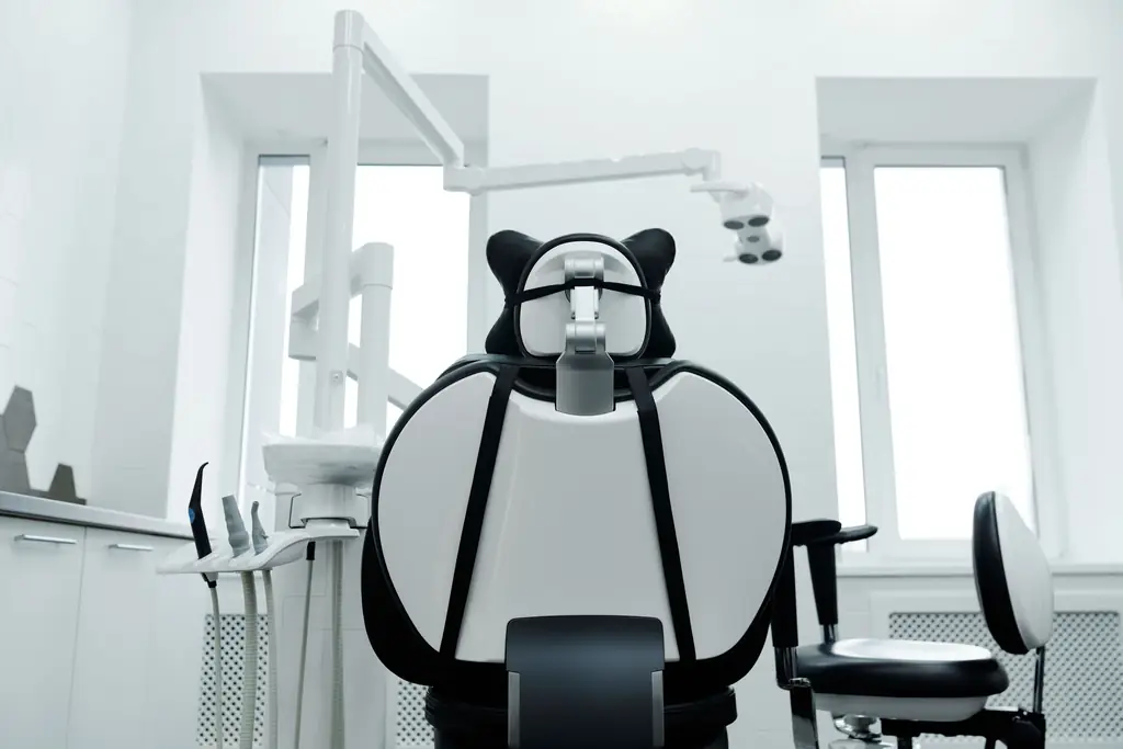 Back of a black and white dental chair facing two bright windows